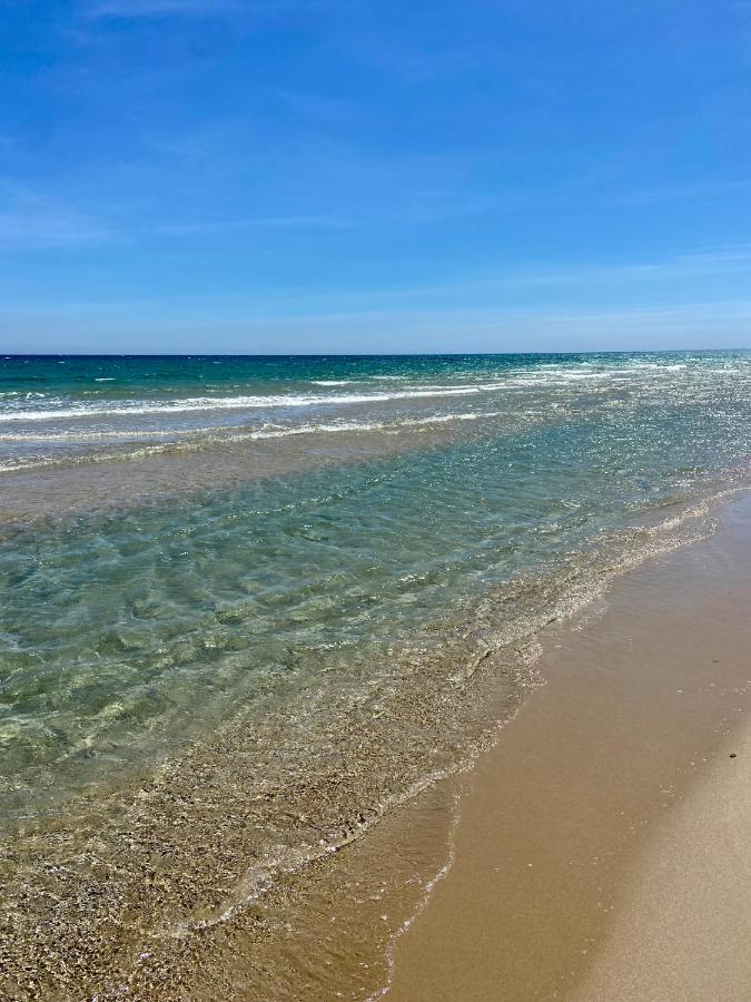 غران ألاكانت La Suite Del Mar المظهر الخارجي الصورة